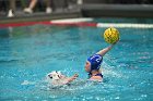 WWPolo vs CC  Wheaton College Women’s Water Polo compete in their sports inaugural match vs Connecticut College. - Photo By: KEITH NORDSTROM : Wheaton, water polo, inaugural